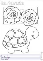 coloriage-tortue-1